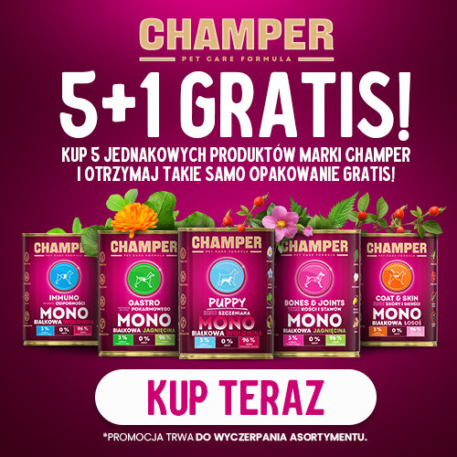 Promocja CHAMPER karma mokra dla psa 5+1 GRATIS