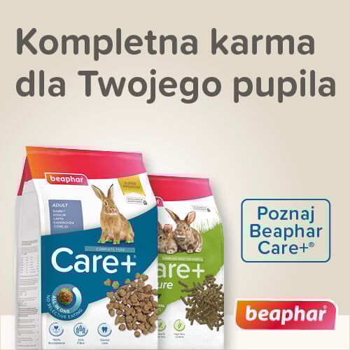 Promocja BEAPHAR Care+ rabat -20% na wybrane produkty!