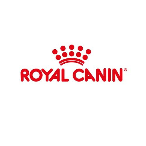 Karma Royal Canin dla kota
