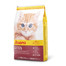 Kitten 10 kg sucha karma dla kociąt i kotek ciężarnych lub karmiących