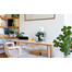 Shrimp Set Smart day&night 10 biały