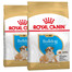 ROYAL CANIN Bulldog Puppy 24 kg (2 x 12 kg) sucha karma dla szczeniąt do 12 miesiąca, rasy buldog angielski