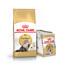 ROYAL CANIN Persian Adult 10 kg + karma mokra dla kotów rasy pers 12x85 g