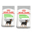 ROYAL CANIN CCN Mini Digestive Care karma sucha dla psów dorosłych, ras małych o wrażliwym przewodzie pokarmowym 16 kg (2 x 8 kg)