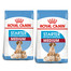 ROYAL CANIN Medium Starter Mother&Babydog 24 kg (2 x 12 kg) karma sucha dla suk w ciąży, w okresie laktacji i szczeniąt, od 4 do 8 tygodnia życia, ras średnich