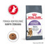 ROYAL CANIN Indoor Apetite Control 20 kg (2 x 10 kg) sucha karma dla dorosłych kotów, przebywających wyłącznie w domu, domagających się jedzenia