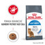 ROYAL CANIN Light Weight Care 16 kg (2 x 8 kg) karma sucha dla kotów dorosłych, utrzymanie prawidłowej masy ciała