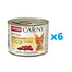 ANIMONDA Carny Kitten zestaw Koktajl Drobiowy 6 x 200 g