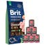 BRIT Premium By Nature Junior Extra Large XL 15 kg + mokra karma z cielęciną 6x400 g
