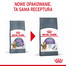 ROYAL CANIN Appetite Control 3,5 kg sucha karma dla dorosłych kotów, domagających się jedzenia