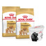 ROYAL CANIN Pomeranian Adult 2x3 kg karma sucha dla psów dorosłych rasy szpic miniaturowy + pojemnik na karmę GRATIS