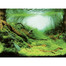Dwustronne tło do akwarium S 60x30cm rośliny/ocean