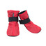Bristol Buty dla psa XXS 5 x 5 x 8 cm Czerwony