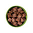 CESAR Natural Goodness w terynie 400 g bogata w jagnięcinę z dodatkiem marchewki, ziemniaków i szpinaku