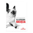 Wyprawka Kitten dla kociąt