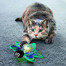 Cat Bat-A-Bout Flicker Firefly świecąca zabawka dla kota
