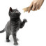 APPLAWS Cat Treat 8 x 7 g przysmak dla kota kurczak