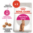 ROYAL CANIN Exigent Protein Preference 42 karma sucha dla kotów dorosłych kierujących się zawartością białka 4 kg x 3