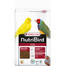 NutriBird C15 Maintenance 1 kg granulat dla kanarka