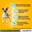 PEDIGREE Adult saszetka z jagnięciną i wątróbką w galaretce 100 g