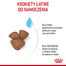 Mini Starter Mother & Babydog 8 kg karma sucha dla suk w ciąży i okresie laktacji oraz szczeniąt, od 4 do 8 tygodnia, ras małych