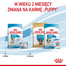 Mini Starter Mother & Babydog 8 kg karma sucha dla suk w ciąży i okresie laktacji oraz szczeniąt, od 4 do 8 tygodnia, ras małych