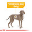 Maxi Dermacomfort 12 kg karma sucha dla psów dorosłych, ras dużych, o wrażliwej skórze, skłonnej do podrażnień