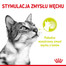 ROYAL CANIN Sensory Smell gravy 12x85 g kawałki w sosie dla kotów dorosłych pobudzające wrażenia węchowe