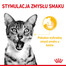 ROYAL CANIN Sensory Taste jelly 12x85 g kawałki w sosie dla kotów dorosłych pobudzające wrażenia smakowe