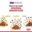 ROYAL CANIN Sensory Taste jelly 12x85 g kawałki w sosie dla kotów dorosłych pobudzające wrażenia smakowe