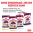 ROYAL CANIN Sensory Taste jelly 12x85 g kawałki w sosie dla kotów dorosłych pobudzające wrażenia smakowe