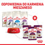 ROYAL CANIN Sensory Taste jelly 12x85 g kawałki w sosie dla kotów dorosłych pobudzające wrażenia smakowe