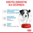 Mini puppy 4x85 g karma mokra w sosie dla szczeniąt do 10 miesiąca, ras małych