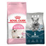 ROYAL CANIN Kitten 10 kg + ARISTOCAT Żwirek bentonitowy naturalny 5 l GRATIS