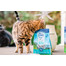 ZIWIPEAK Cat Karma suszona powietrzem Mackerel&Lamb Makrela i jagnięcina 1 kg