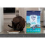 ZIWIPEAK Cat Karma suszona powietrzem Mackerel&Lamb Makrela i jagnięcina 1 kg