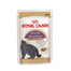ROYAL CANIN British Shorthair karma mokra w sosie dla kotów dorosłych rasy brytyjski krótkowłosy 24x85 g