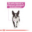 ROYAL CANIN Relax Care karma mokra - pasztet dla psów dorosłych narażonych na działanie stresu