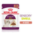 ROYAL CANIN Sensory Smell gravy kawałki w sosie dla kotów dorosłych pobudzające wrażenia węchowe