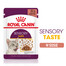 ROYAL CANIN Sensory Taste jelly 12x85 g kawałki w sosie dla kotów dorosłych pobudzające wrażenia smakowe