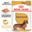ROYAL CANIN Jamnik Adult 24 x 85 g karma mokra specjalnie dla dorosłych psów rasy jamnik