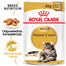 ROYAL CANIN Mainecoon saszetka 24x85 g