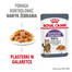 ROYAL CANIN Appetite Control Jelly mokra karma dla dorosłych kotów z nadmiernym apetytem