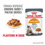 ROYAL CANIN Intense BEAUTY w sosie 48x85 g