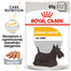 ROYAL CANIN Dermacomfort karma mokra - pasztet dla psów dorosłych o wrażliwej skórze, skłonnej do podrażnień 48 x 85 g