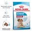 Medium starter mother & babydog 4 kg