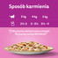 WHISKAS Adult saszetka 12x85g Kremowe Wariacje mokra karma dla dorosłych kotów w sosie z: kurczakiem i warzywami, jagnięciną i indykiem