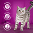 WHISKAS Adult saszetka 28x85 g mokra karma dla dorosłych kotów w galaretce z wołowiną i drobiem