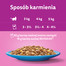 WHISKAS Adult saszetka 4x85g Rybne Przysmaki mokra karma dla dorosłych kotów w galaretce z: łososiem, tuńczykiem