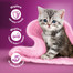 WHISKAS Junior saszetka 12x85g Drobiowe Frykasy mokra karma dla kociąt w galaretce z: kurczakiem, indykiem, drobiem, kaczką
